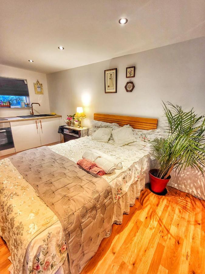 The Apple And Plum Cottage Studio Apartment New Reading Exterior photo